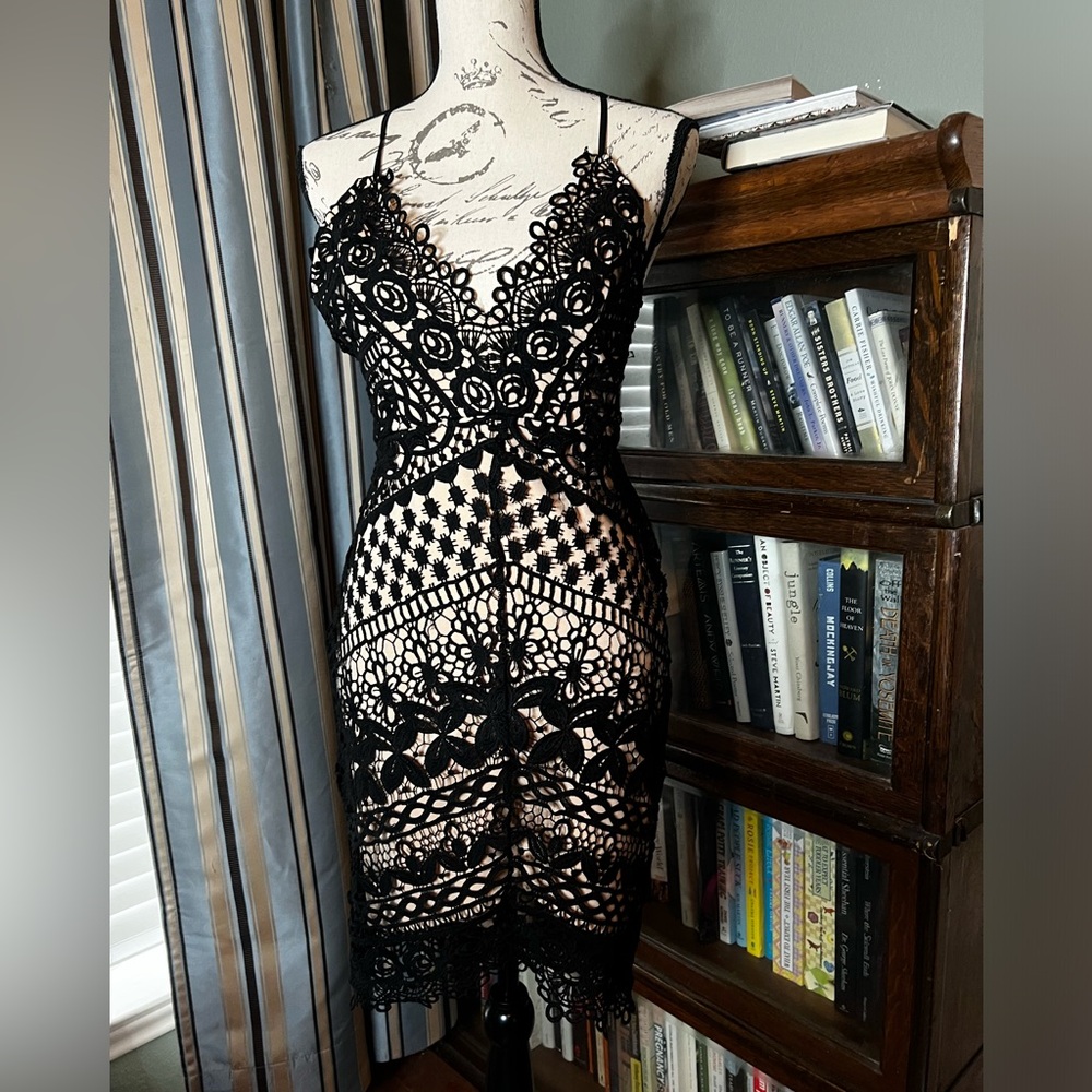 Gorgeous ASTR lace dress - Picture 1 of 5